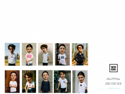 hellowoodi.com snapshot