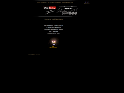 npmodels.be snapshot