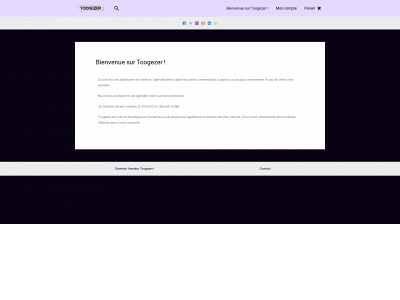 toogezer.fr snapshot