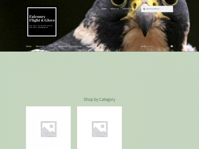 falconryfandg.co snapshot
