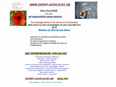 expert-associates.be snapshot