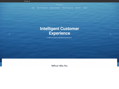 icxmarketing.com snapshot