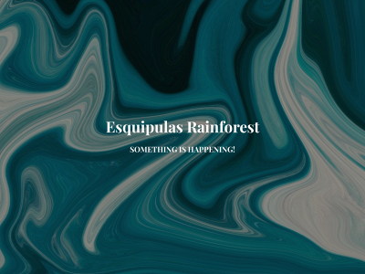 esquipulasrainforest.com snapshot