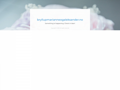 bryllupmarianneogaleksander.no snapshot
