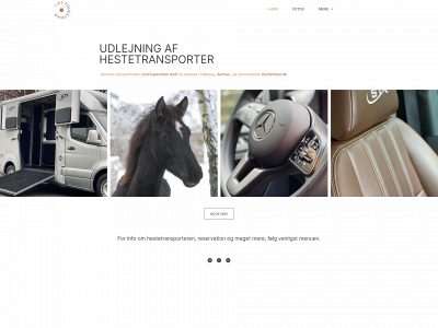 flytdinhest.dk snapshot