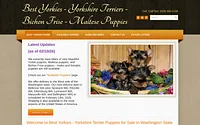 www.bestyorkies.com snapshot