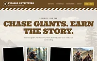 picassooutfitters.com snapshot