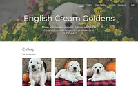 englishcreamgoldens.com snapshot