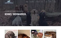 skovmarken.dk snapshot