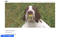 annosaesthetics.weebly.com snapshot