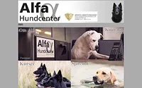 alfahundcenter.se snapshot