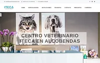 itecacentroveterinario.com snapshot