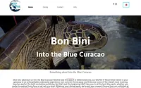 intothebluecuracao.com snapshot