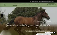 yeguadacasahigueral.com snapshot