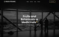 mainframe-consulting.com snapshot