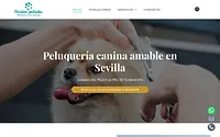 pasionpeluda.com snapshot