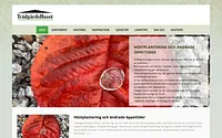 tradgardshuset.com snapshot