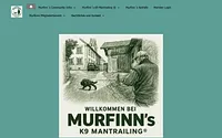 murfinns.at snapshot