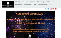 pyrosmalandskrutbruk.se snapshot