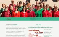 www.chubritsa.nl snapshot