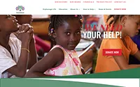 www.mfofoundation.org snapshot
