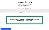 yourminibusiness.weebly.com snapshot