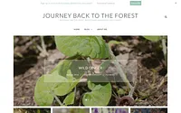 journeybacktotheforest.com snapshot