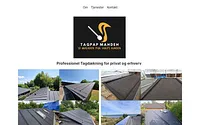 tagpapmanden.dk snapshot