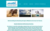 galisteobasinvet.com snapshot