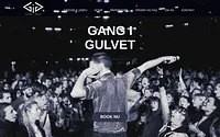 gangigulvet.dk snapshot