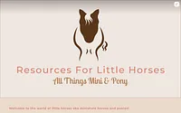 www.resourcesforlittlehorses.com snapshot