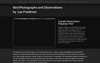 leefriedman.weebly.com snapshot
