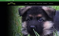 dortmundergsd.com snapshot
