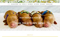 www.reddypoodlesdoodles.com snapshot