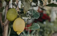 cortijodepacoromo.com snapshot