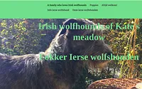 irishwolfhoundgiant.be snapshot