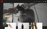 antontzannis.dk snapshot