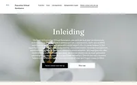 executivevirtualassistance.nl snapshot