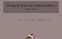 elevagebiewerdescollines.com snapshot