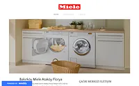 bakirkoymieleservis.weebly.com snapshot