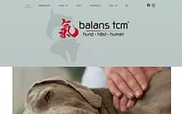 balanstcm.se snapshot