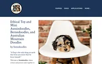 www.steindoodles.com snapshot