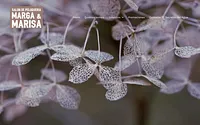 salonmargaymarisa.com snapshot