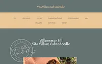 vitavillanslabradoodle.com snapshot