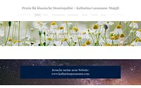 www.homoeopathie-kilchberg.ch snapshot