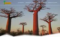 ongmadagascar.org snapshot