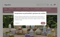bigudiesproductos.com snapshot