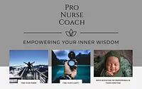 pronursecoach.com snapshot
