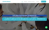 docentesanitarioantonioarenales.es snapshot
