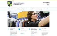 executivecleaner.com snapshot